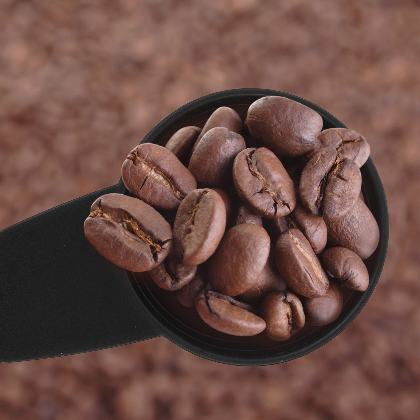 5 Buah Sendok Ukur Gagang Panj - Coffee Tea Sugar ulasan dan harga
